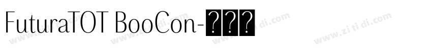 FuturaTOT BooCon字体转换